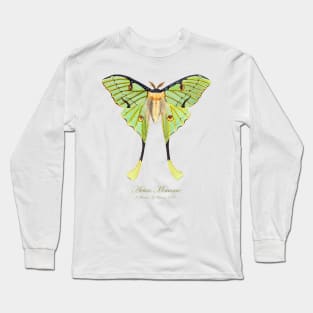 Moth - African Moon Moth, Actias Mimosae or Argema Mimosae Long Sleeve T-Shirt